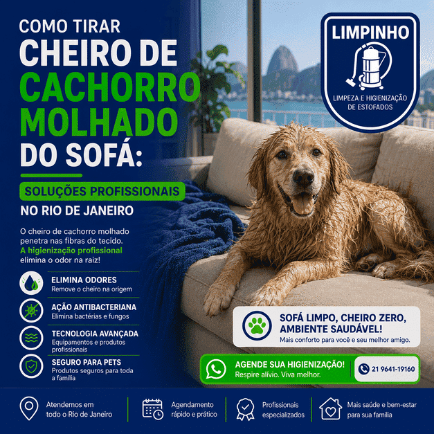 Como Tirar Cheiro de Cachorro Molhado do Sofá: Soluções Profissionais no Rio de Janeiro 1 Limpinho - Limpeza - Higienização - Impermeabilização - Estofados